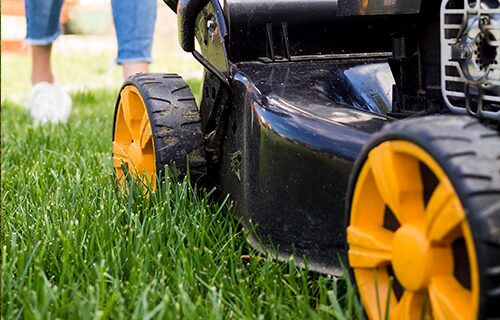 lawn maintenance vison landscape services vancouver wa
