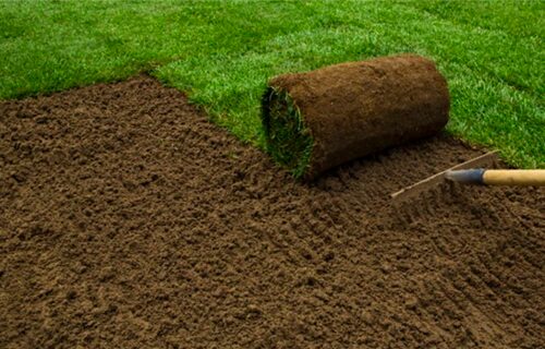 sod installation services vision landscape contractor vancouver wa