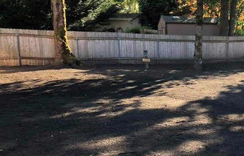 Services clean up vancouver wa