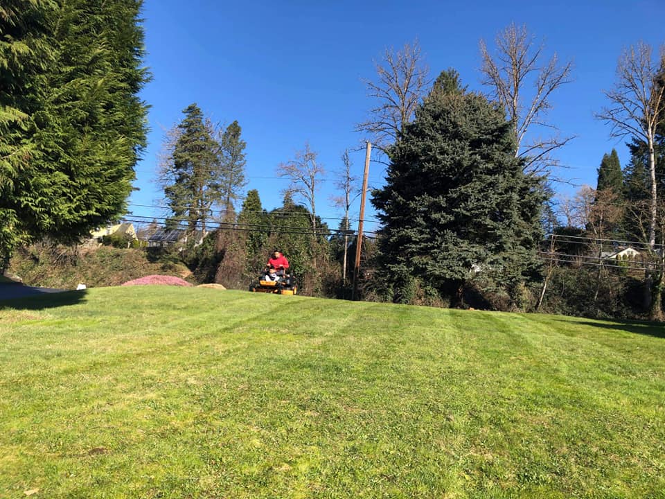 commercial landscape maintenance vancouver wa