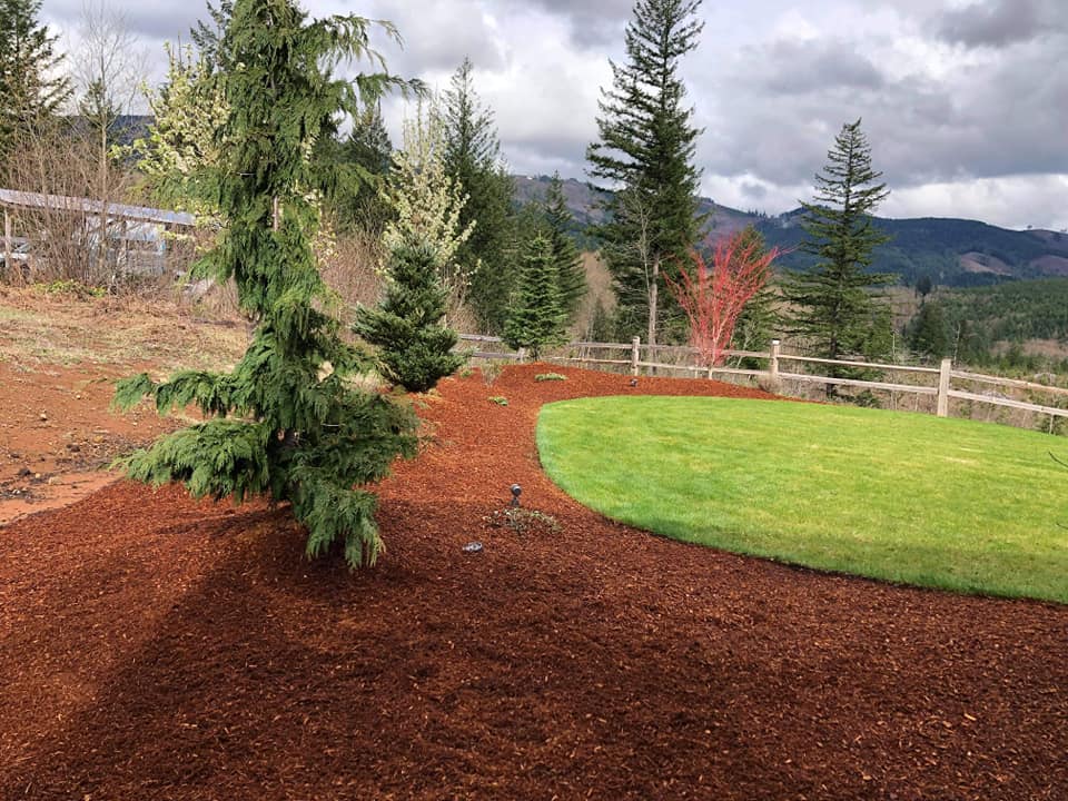 dark mulch application flower beds