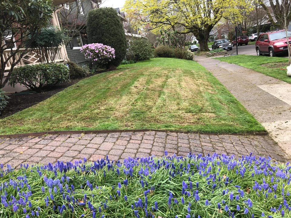 seasonal yard cleanup service vancouver