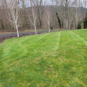 vancouver,wa, landscape best gardening services